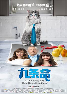 师父搞tv