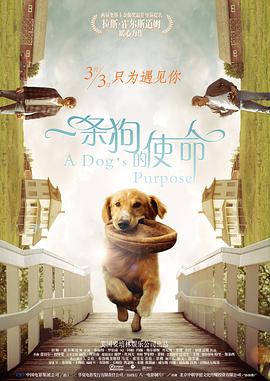懂你网