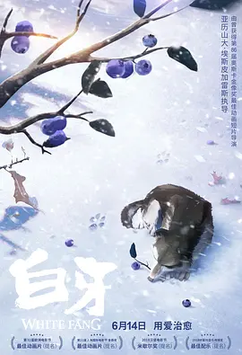 国产精品女同久久免费观看