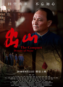 年轻的护士电影
