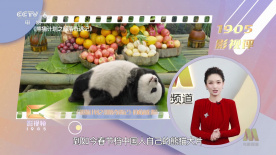 麻豆床传媒
